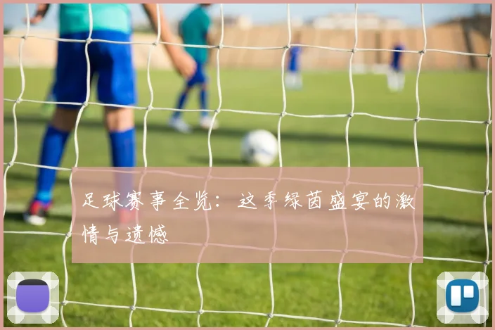 足球赛事全览：这季绿茵盛宴的激情与遗憾