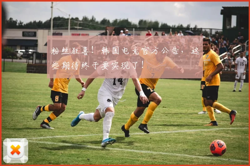粉丝狂喜！韩国电竞官方公告，这些期待终于要实现了！