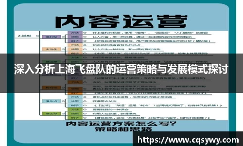 深入分析上海飞盘队的运营策略与发展模式探讨