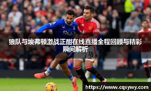 狼队与埃弗顿激战正酣在线直播全程回顾与精彩瞬间解析